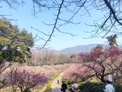 -刘长兴(卫岗店)