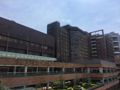 -香港大学