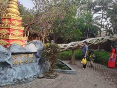 -瑞丽独树成林风景区