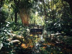 -成都市活水公园