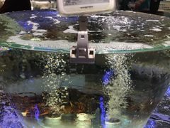 -盒马鲜生(悠方店)