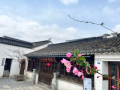 -青果巷历史文化街区