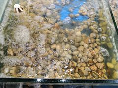 -雅逸居海鲜小厨