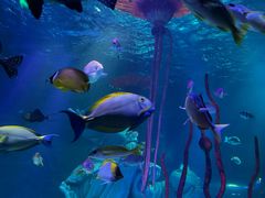 -沈阳海洋探索中心