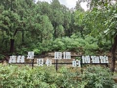 -佛慧山