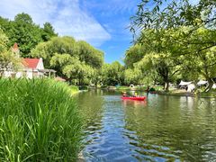 -上海共青森林公园