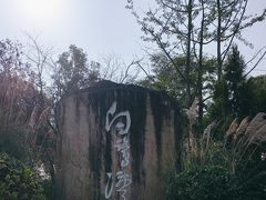 -白鹭湾湿地公园