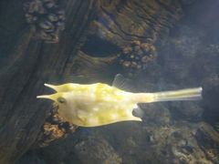 -福州罗源湾海洋世界旅游区