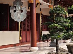 -深圳仙湖植物园