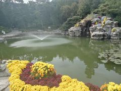 -香山公园