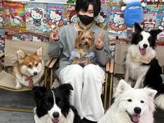 -汪说·狗咖(旺城大厦店)