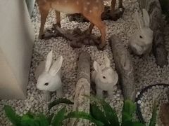 -二分八云雁阁•新晋菜大同味(长治路店)