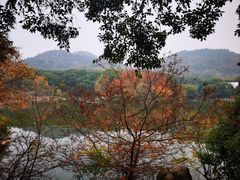 -白马涧龙池景区