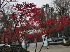 -海兰云天度假区温泉