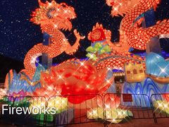 -大连老虎滩海洋公园