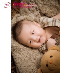 点击看大图 -苏菲亚婚纱影楼尊爵店(昆区店)