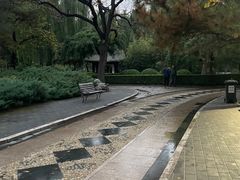 -团结湖公园