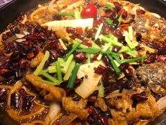 -老板恋上鱼(恒隆广场店)