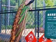 -北京麋鹿生态实验中心