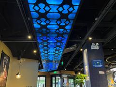 -bluefrog蓝蛙(水游城店)