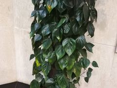 -中国银行(辽宁省分行营业部)