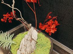 -炊江南·上海菜(国展华漕店)
