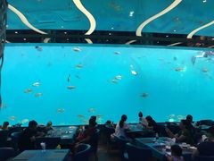 -瑞德姆美人鱼海底演艺主题餐厅(亚龙湾店)