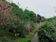 -富乐山