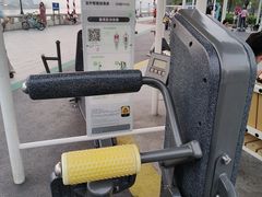 -洲头咀公园