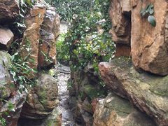 -绮园景区