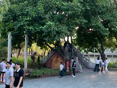 -东莞市可园博物馆