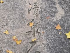 -北京鹫峰国家森林公园