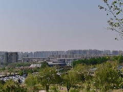 -莫子山公园