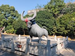 -岳阳楼景区