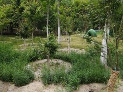 -大兴滨河森林公园