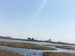 -呼兰河口湿地公园