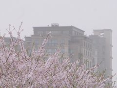 -龙美术馆(西岸馆)
