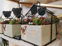 -花未央花店·WEYOUNG