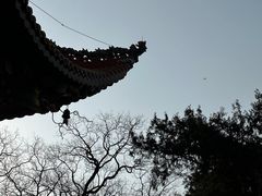 -南岳大庙