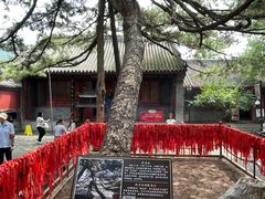 -红螺寺