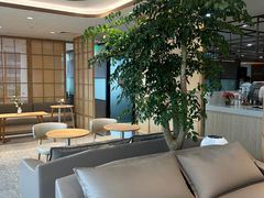 -洄归山也·高空C位湖景下午茶(东方之门店)