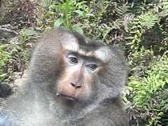 -黔灵山公园