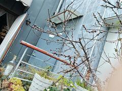 -哈瓦那雪茄酒廊超市(武汉天地分店)