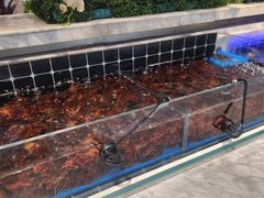 -川骄海鲜自助(河东店)