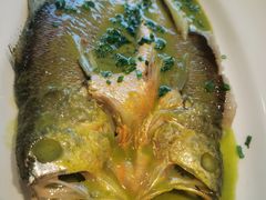 烧椒汁大黄鱼-飶香居(省博物馆店)