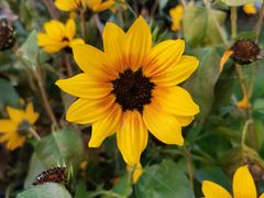 -雅克雅思(南湖东路店)