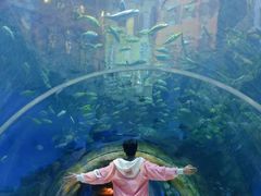 -华夏文旅海洋公园