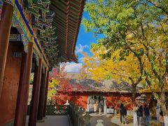 -护国法轮寺