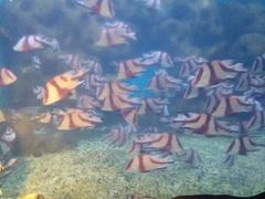 -蓬莱欧乐堡海洋极地世界