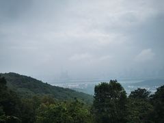 -岳麓山风景名胜区